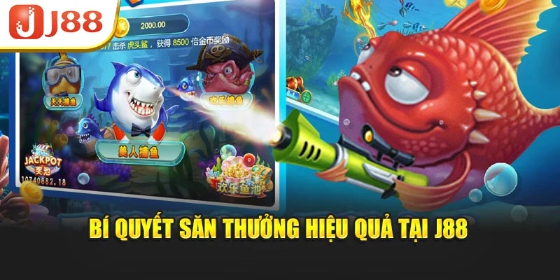 Bí quyết săn thưởng hiệu quả tại J88
