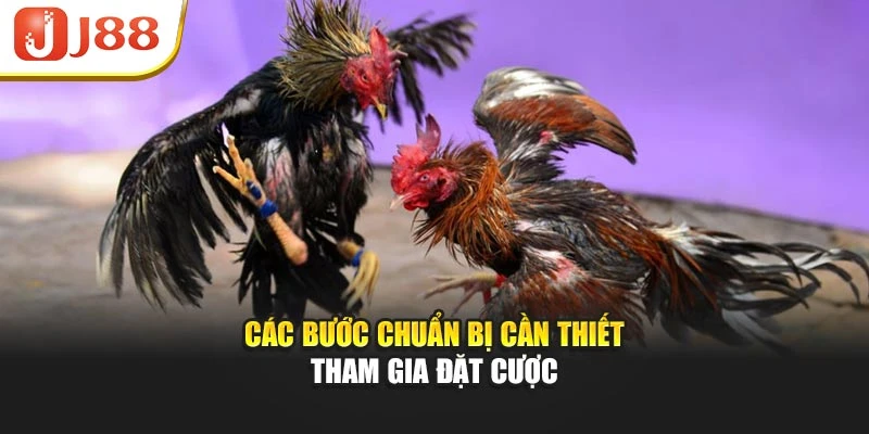Các bước chuẩn bị cần thiết tham gia đặt cược