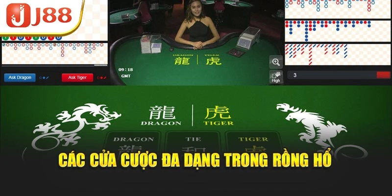 Các cửa cược đa dạng trong rồng hổ