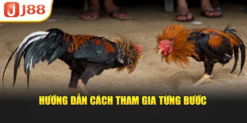 Hướng dẫn cách tham gia từng bước
