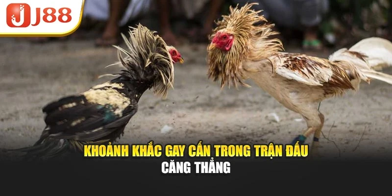 Khoảnh khắc gay cấn trong trận đấu căng thẳng