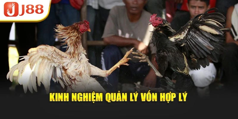 Kinh nghiệm quản lý vốn hợp lý